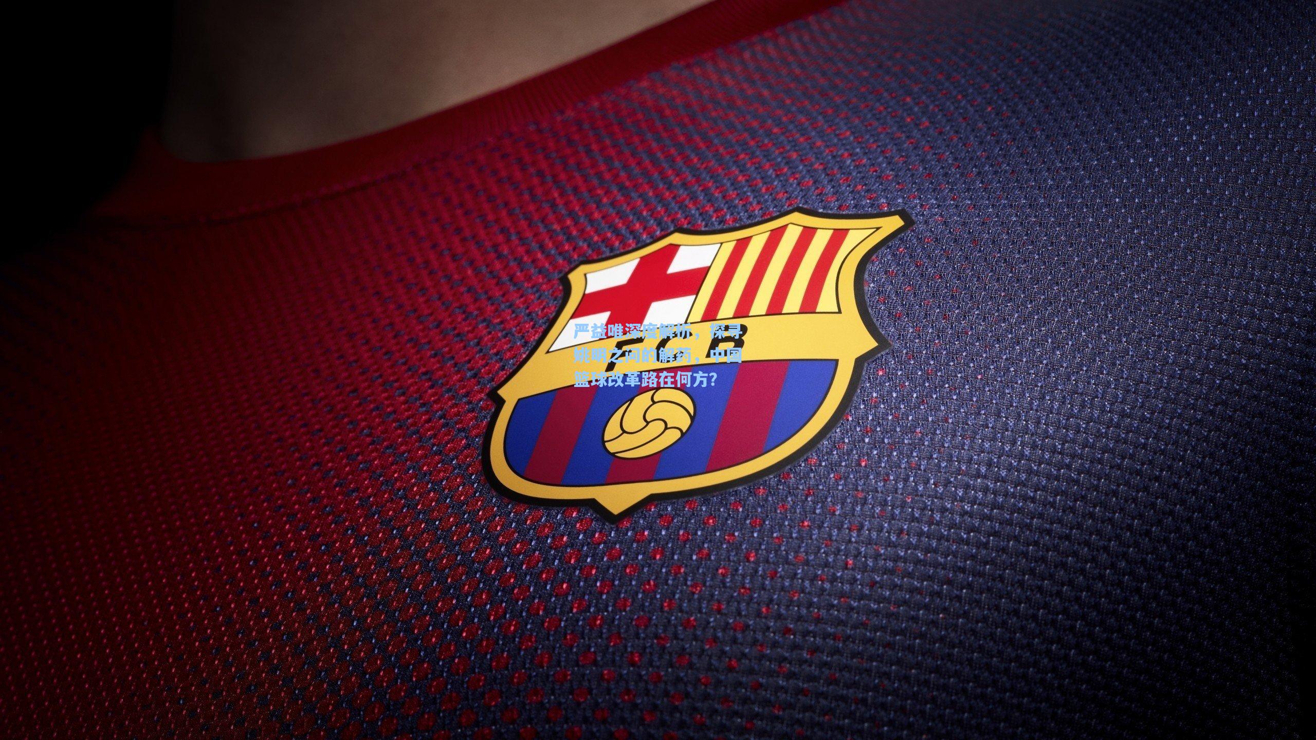 严益唯深度解析,探寻姚明之问的解药,中国篮球改革路在何方?