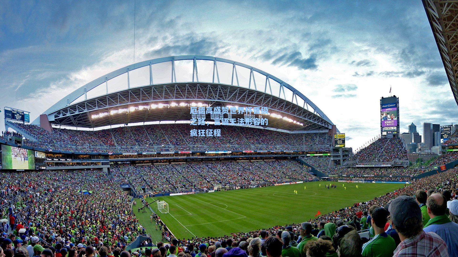 厄德高盛赞世界杯晋级之路,言语无法形容的疯狂征程